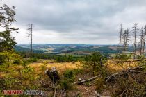 Das Wetter gab leider keinen sonnenstrahlenden Himmel her. Das ist  eine Aussicht auf dem Weg zur Nordhelle. Viel Wald musste abgeholzt werden, aber es wächst bereits einiges nach. • © ummeteck.de - Silke Schön